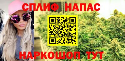Альфа ПВП Севастополь