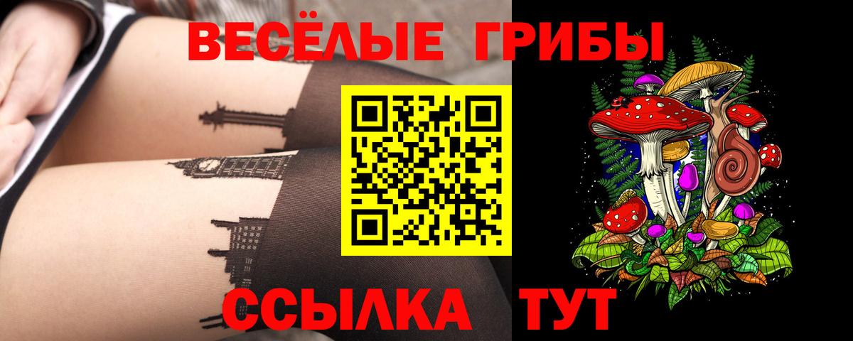 Мурманск  Галлюциногенные грибы MAGIC MUSHROOMS  Вход с VPN 